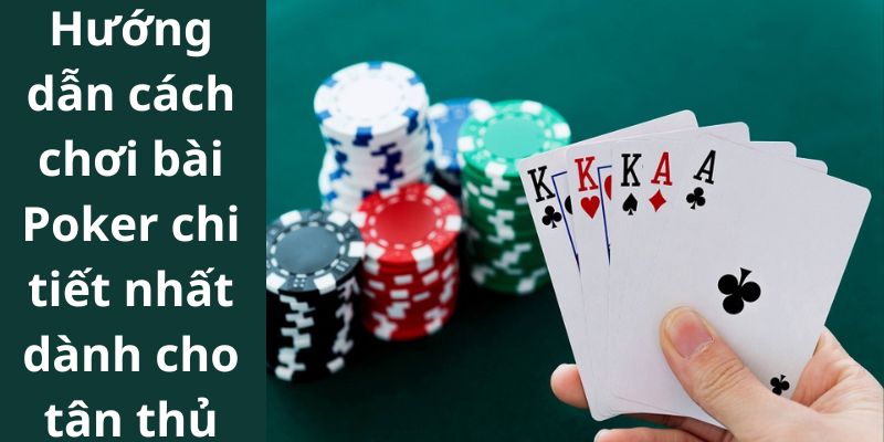 Hướng dẫn cách chơi bài Poker chi tiết nhất dành cho tân thủ