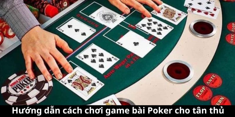 Hướng dẫn cách chơi game bài Poker cho tân thủ