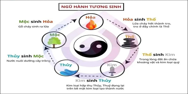 Hướng dẫn xem màu mạng gà